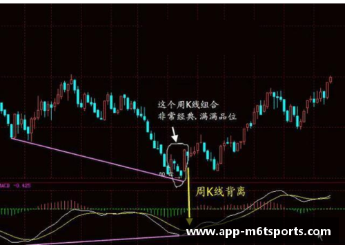 米乐m6转会界潜力股：洞悉球员动向与市场趋势